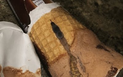 A Chilling Discovery: The Secret Ingredient in My Daughter’s Ice Cream