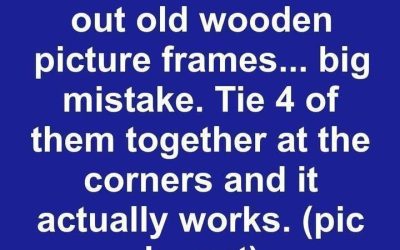 Most people throw out old wooden picture frames… big mistake. Tie 4 of them together at the corners and it actually works.
