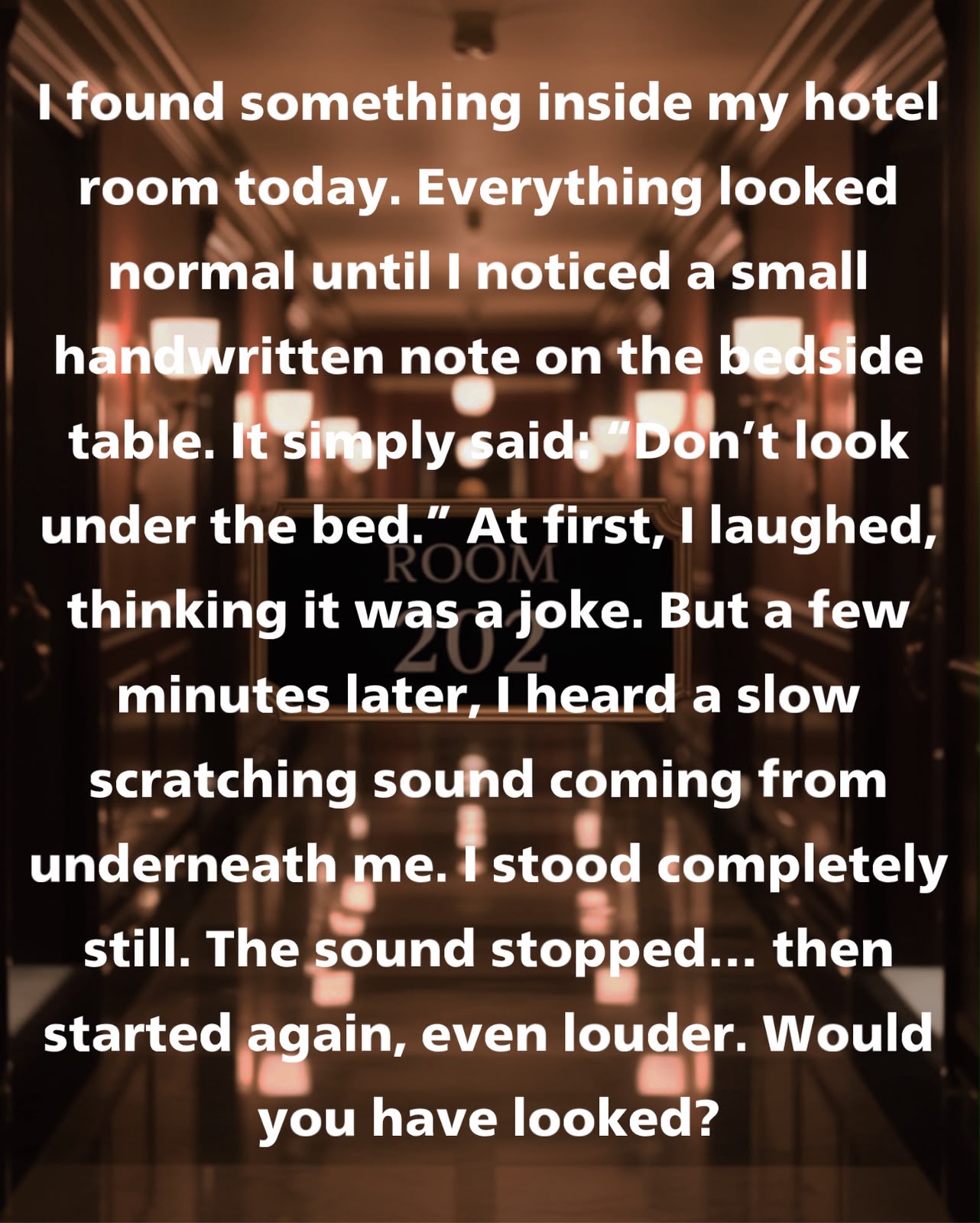 I found something inside my hotel room today. Everything looked normal