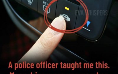 The Dashboard Button Most Drivers Ignore—And Why It Actually Matters